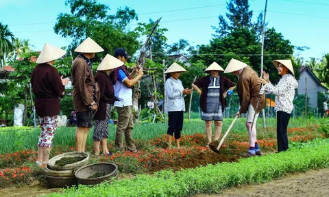 Làng rau Trà Quế được công nhận "Làng Du lịch tốt nhất" năm 2024