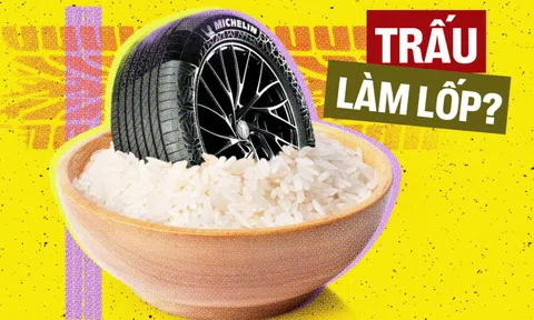 Michelin dùng vỏ trấu làm lốp xe, khách Việt sắp có thêm dòng lốp êm thế hệ mới