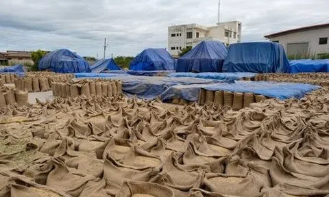 Một loại nông sản ‘trời ban’ cho Việt Nam đang bán đắt như tôm tươi tại Ukraine: Xuất khẩu tăng nóng 1.500%, nước ta là ‘trùm’ đứng thứ 3 thế giới