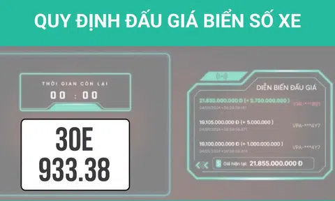 Infographics: Quy định về đấu giá biển số xe