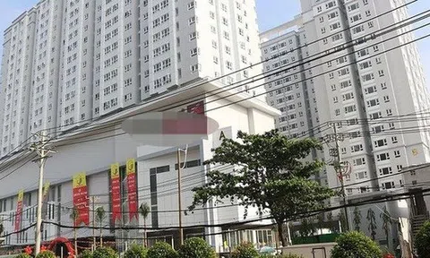 Công ty vốn 55 tỷ nhưng nợ tới hơn 400 tỷ, tính mua doanh nghiệp 170 tỷ