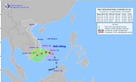 Áp thấp nhiệt đới mạnh lên thành bão số 10