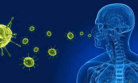 Bộ Y tế thông tin virus gây viêm phổi trên người tại Trung Quốc