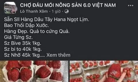 Tìm bị hại trong vụ “chủ vựa hoa quả” lừa tiền cọc