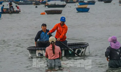 Mất mùa ruốc biển, ngư dân đứng ngồi không yên