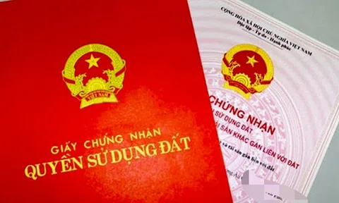 Chuyên án đất đai ở Bà Rịa - Vũng Tàu: Tiếp tục mở rộng điều tra nhiều người liên quan