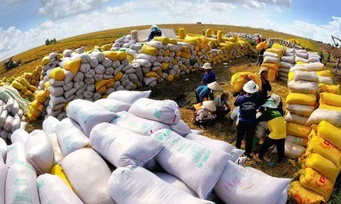 'Gạo Việt Nam không bao giờ ế, đừng lo'