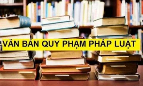 Đề xuất quy định chi tiết về xây dựng, ban hành văn bản quy phạm pháp luật