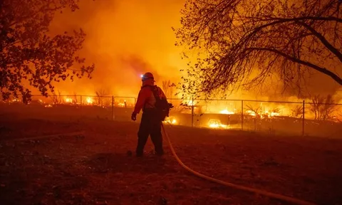 “Yếu tố thay đổi cuộc chơi” trong dự báo cháy rừng