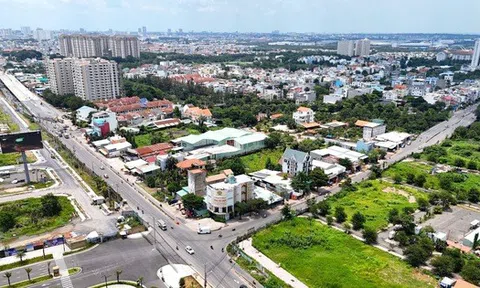 1 dự án nhà ở tại TP HCM chuyển mục đích đất trồng lúa gần 9 ha