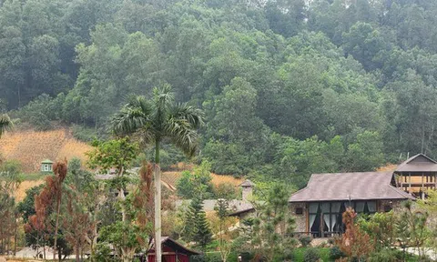 Chủ tịch Hà Nội yêu cầu khẩn trương xử lý vụ lấn chiếm đất rừng xây khu nghỉ dưỡng tại Thạch Thất