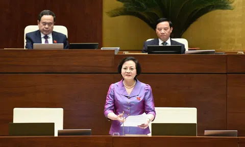 Cán bộ phải đáp ứng yêu cầu vị trí việc làm, xóa bỏ tình trạng 'giữ ghế' nhờ ngạch