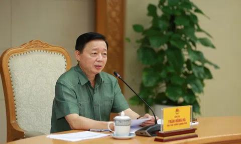 Phó Thủ tướng yêu cầu nghiên cứu đánh thuế đối với đất hoang hóa, dự án chậm triển khai