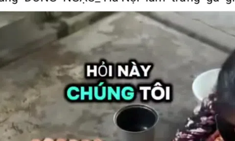 Hiệp hội Gia cầm Việt Nam lên tiếng về thông tin "trứng gà giả"