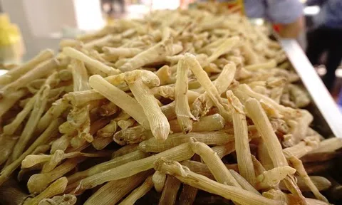 Loài giun biển từng nghĩ đến đã sợ nay lột xác thành 'mì chính của nhà giàu', giá lên đến 10 triệu đồng/kg