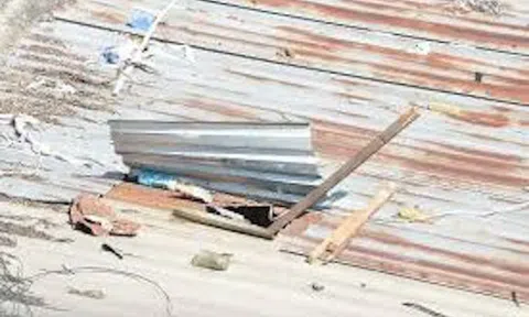 Bình Dương: Tạm giữ nam thanh niên trộm điện thoại, tiền cho bạn gái