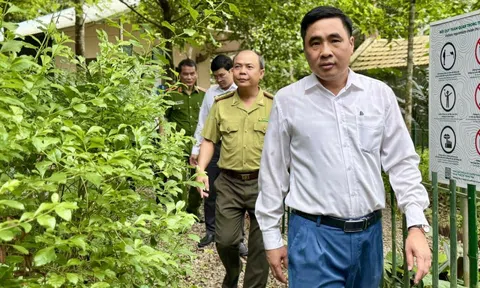 Hành động thiết thực cho bảo tồn đa dạng sinh học