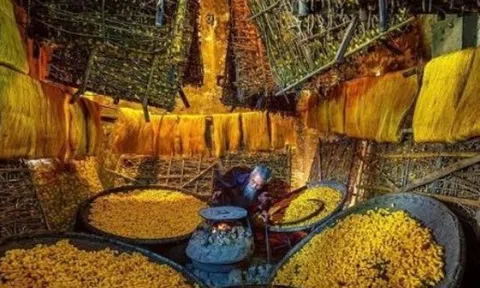 Mỹ vừa chi hơn 5 tỷ USD mua ‘mỏ vàng’ đứng thứ 2 thế giới của Việt Nam: Đã xuất khẩu đến hơn 100 thị trường, Hàn Quốc, Nhật Bản cũng là ‘khách ruột’