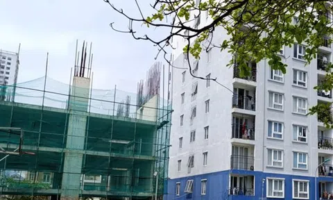 Đà Nẵng mở bán hàng trăm căn hộ giá từ 800 triệu đồng