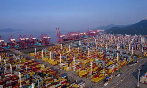 Cảng bận rộn nhất thế giới triển khai 3 hành lang vận tải biển xanh tới châu Âu