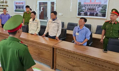 Đà Nẵng: Khởi tố 3 đối tượng chôn lấp trái phép 162 tấn chất thải rắn