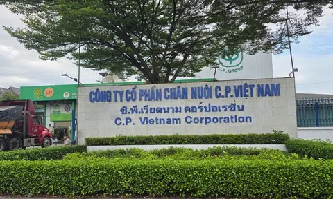 Công ty C.P. Việt Nam từng bị UBND tỉnh Đồng Nai xử phạt gần 800 triệu đồng
