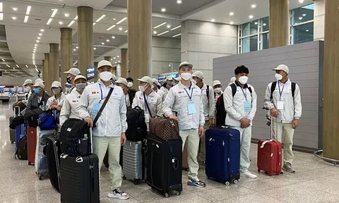 Phí môi giới 'trên trời', trục lợi xuất khẩu lao động: Siết kỷ cương, xử lý nghiêm sai phạm