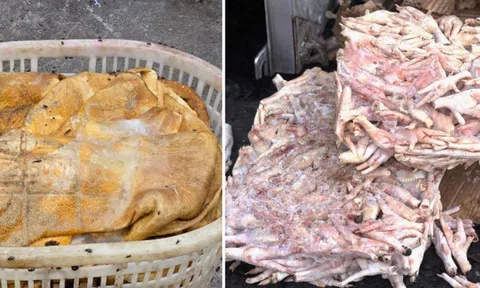 Tiêu hủy hơn 25 tấn thực phẩm đông lạnh bốc mùi hôi thối, đang bị phân huỷ