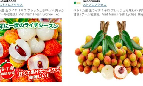 Giá vải thiều Việt Nam bán trên Amazon Nhật Bản giá nửa triệu đồng/kg
