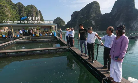 Bộ Nông nghiệp và Môi trường thực hiện phân cấp, phân quyền cho địa phương