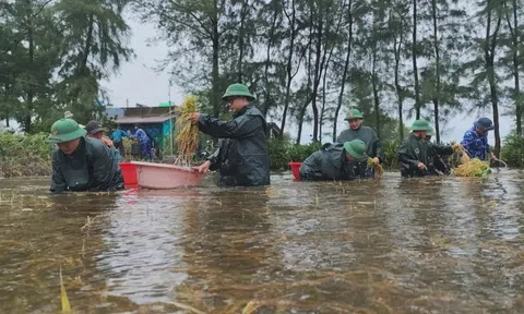 Quảng Trị khẩn trương khắc phục hậu quả bão số 1