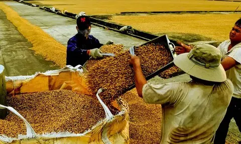 Nỗi lo siêu thị, chợ mạng