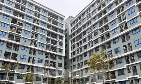 Doanh nghiệp Nhà nước nên hướng vào làm nhà ở giá rẻ