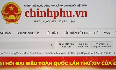Cổng Thông tin điện tử Chính phủ: Nhịp cầu nối liền Trung ương với địa phương và người dân