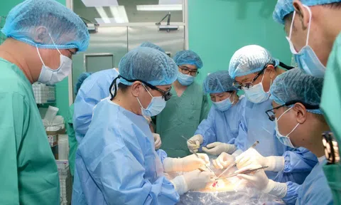 Bệnh viện Trung ương Huế đồng thời thực hiện thành công 4 ca ghép tim, gan, giác mạc xuyên Việt