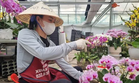 Quảng Ninh đi đầu xây dựng NTM và giảm nghèo