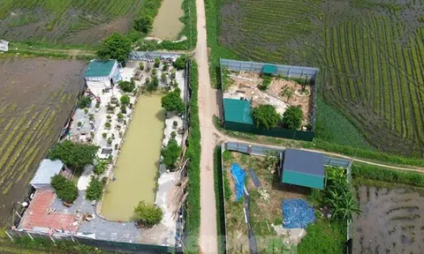 Nhiều công trình vi phạm đất đai, trật tự xây dựng ở Hà Nội chưa được xử lý dứt điểm