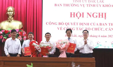 Phó Chủ tịch Thường trực UBND tỉnh Đắk Lắk và 13 cán bộ nghỉ hưu trước tuổi