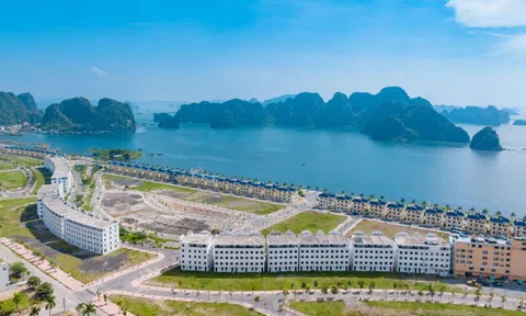Đất nền Quảng Ninh trở lại mạnh mẽ với sản phẩm mặt biển Vịnh Di Sản