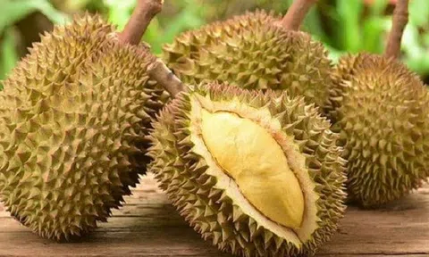 Thêm một đối thủ với sầu riêng Việt Nam ở thị trường Trung Quốc
