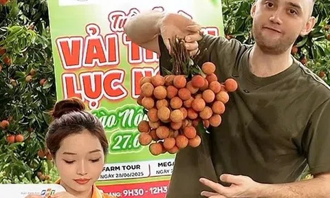 Vải thiều dội chợ rớt giá, đưa lên livestream lại "cháy hàng"