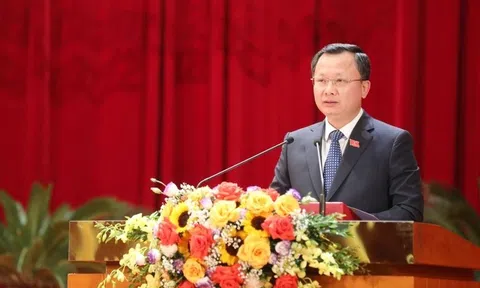 Phó Chủ tịch tỉnh Quảng Ninh giữ chức Bí thư đặc khu Vân Đồn