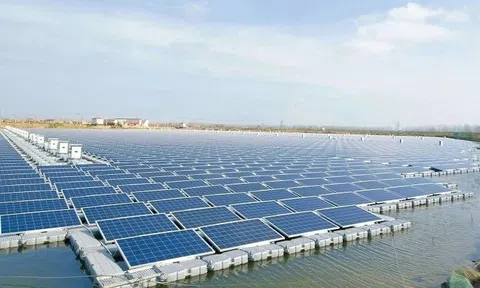 Số phận hai dự án điện mặt trời 7.800 tỷ ở Nghệ An?