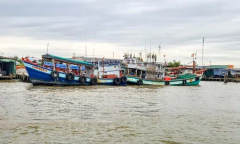 Có gì trong Quy hoạch chi tiết cảng biển Cà Mau thời kỳ 2021-2030, tầm nhìn đến 2050 vừa được duyệt?