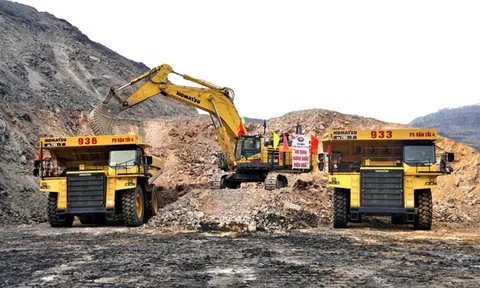 Cổ phiếu Than Đèo Nai -Cọc 6 "lao dốc" trước tin thành viên HĐQT bị bắt