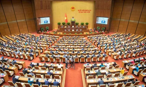 Nghị quyết của Quốc hội và UBTVQH khóa XV