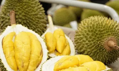Xuất khẩu sầu riêng lao dốc, nhập từ Thái Lan và Malaysia tăng đột biến
