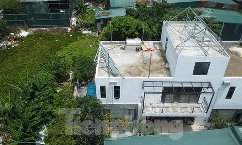 Các hồ lớn ở phường Định Công đang bị 'biến dạng'