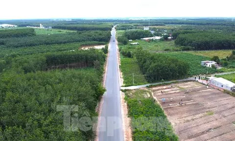 Ngắm tuyến đường như dải lụa xuyên rừng nối các tỉnh, thành miền Đông Nam bộ