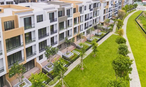 SonKim Land chính thức bàn giao khu biệt thự Alta Villa tại The 9 Stellars
